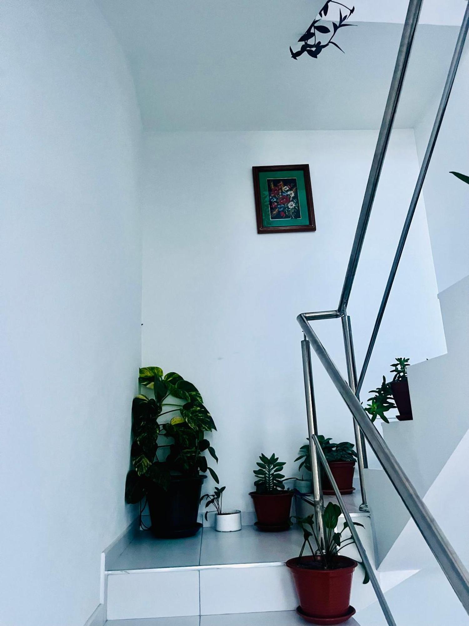 Habitación en casa particular Oasis De Retour Ponta Do Sol